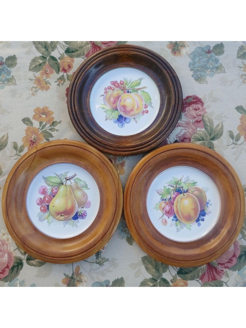 Vintage Copelands Grosvenor Spode English China Fruit Wall Plate Set Wood-Framed